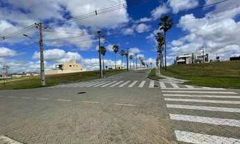 Imagem 3: Lote ao lado de uma área verde no Terras Alphaville