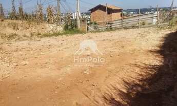 Imagem 3: Terreno Padrão em Valinhos