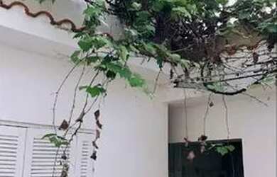 Imagem 3: São Paulo - Casa Padrão - Moema