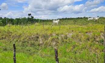 Imagem 2: Vendo sítio em Nazaré das farinha