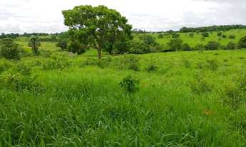 Imagem 2: Chacara em Mairipotaba com represa a 80 km de Goiânia chacaras 2 hectares aceito carro