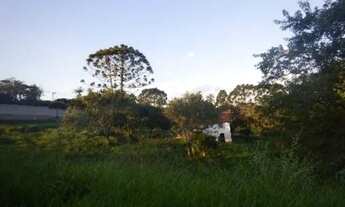 Imagem 7: TERRENO COMERCIAL em COTIA - SP, JARDIM DOS IPÊS