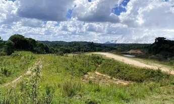 Imagem 3: Ótimas chácaras em são José dos Pinhais