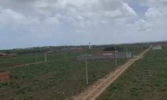 Imagem: Lotes a venda em Paraipaba, no Portal da