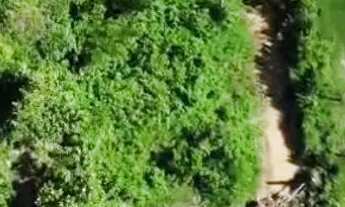 Imagem: CHÁCARA À VENDA - SANCLERLÂNDIA/GO