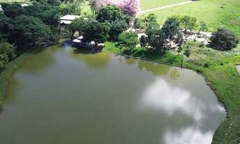 Imagem 3: Chácara de 8.5 alqueires