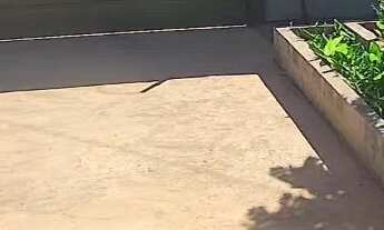 Imagem 5: Imóvel a venda em Guapiaçu com duas casas em terreno de 1.000 metros murada rua asfaltada