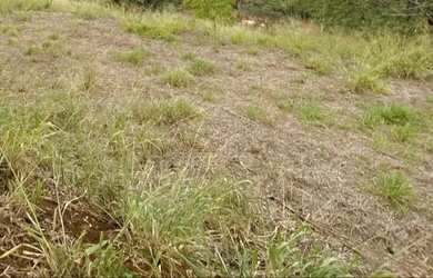 Imagem 3: SANTO ANTONIO - BARRA BONITA / SP