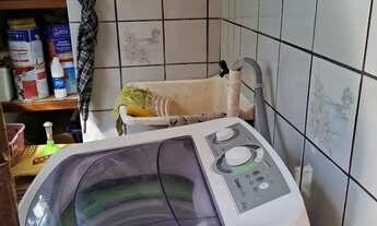 Imagem 6: Aluguel temporada