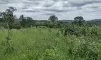 Imagem 3: Fazenda c/ 149he, c/ 80he aberto, terra mista, 70km de Cuiabá-MT