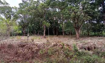 Imagem 6: Terreno a venda avenida principal do Cajueiro