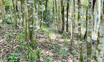 Imagem 3: Terreno para chácara