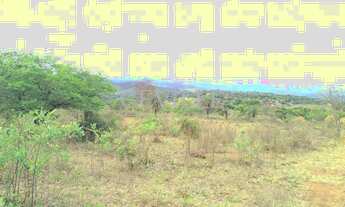 Imagem 7: Área comercial localizado a poucos metros da Praça