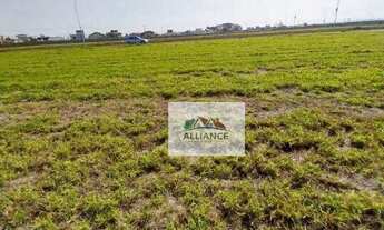 Imagem 6: Terreno à venda, 300 m² por R$ 370.000,00 - Betel - Paulínia/SP