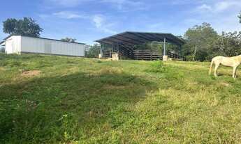 Imagem 4: Chácara no município de Mara Rosa 4,2 alqueires