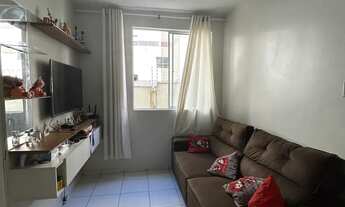 Imagem 7: Ideal samambaia terreo