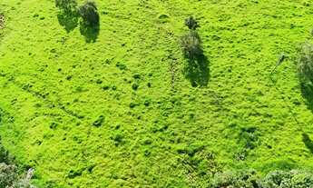Imagem 3: Fazenda 5 alqueires com 2 águas e pasto formado - 13 km de Formoso-GO - Escuto propostas