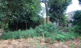 Imagem 3: Terrenos Padrão em Sertãozinho