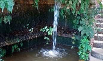 Imagem: 1,63 Alqueires em Bela Vista