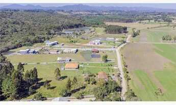 Imagem 7: Terreno 10.000m² Estrada Corredor Butiá, próximo escola Ares de Armas, valor R$ 1.860.000