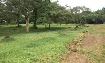 Imagem 3: Sítio à venda em Chapada dos Guimarães - MT