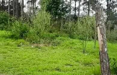 Imagem 10: Imóvel para venda com 500 metros quadrados em Vargem do Salto - Ibiúna - SP