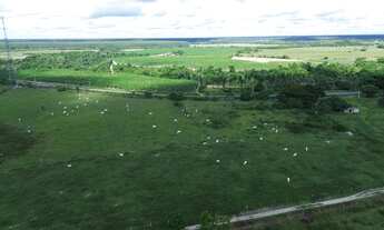 Imagem 3: FAZENDA DUPLA APTIDÃO 490 HA