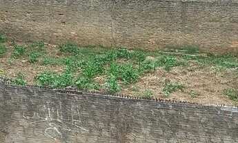 Imagem 2: VENDO TERRENO ZONA NORTE