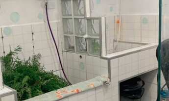 Imagem 5: Aluga se espaço para pet shop