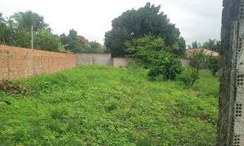 Imagem 4: Lote à venda em rua pública, CAIBRÓS, Itaporanga dAjuda, SE