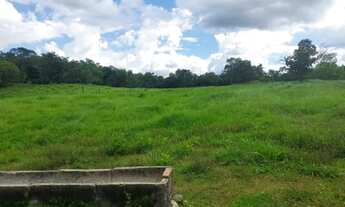Imagem 7: Chacarra 13 alqueires 25 km da cidade de goias troco por casas em goiânia