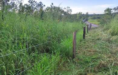 Imagem 7: Sitio com 130 hectares nas margens da BR 351 na região do manso a 71 km da cidad