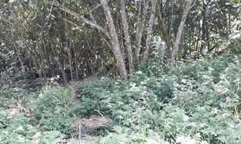 Imagem 5: Lote em condomínio em Rua Doutor Altair Martins - Granja Viana - Cotia/SP