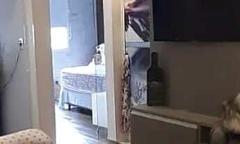 Imagem 4: Troco apartamento por casa