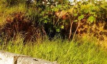 Imagem 2: Terreno à venda em , cod:14313