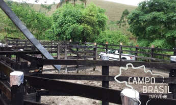 Imagem 3: Campo Brasil Imóveis, realizando seu sonho rural! Sítio com 16 aq na Zona Norte