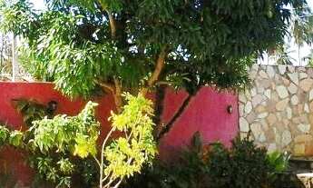 Imagem: Casa de praia Paripueira (Finados 30/10