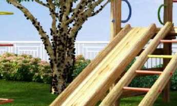 Imagem 3: 15 - Sá Cavalcante Construções Apresenta, Reserva Lagoa, 3 quartos