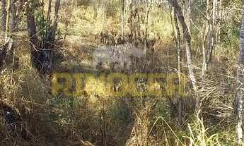 Imagem 4: Terreno à venda, Jardim dos Lagos, Franco da Rocha, SP