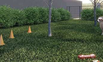 Imagem 7: Vila Maria - Aptos 2 dorm a 223 mil