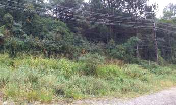 Imagem 3: Lote/Terreno para venda tem 30000 metros quadrados em Centro - São Lourenço da Serra - SP