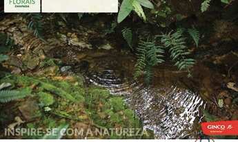 Imagem 4: Terreno em condomínio no FLORAIS CHAPADA - Bairro Centro em Chapada dos Guimarães