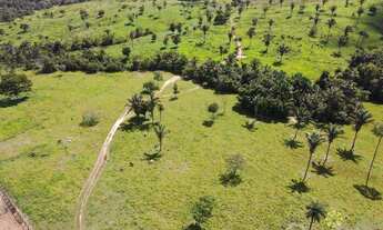 Imagem: Fazenda à venda, 1.000 Hectares em Fortaleza