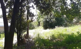 Imagem 3: Terreno à venda e para locação, Vila Sfeir, Indaiatuba, SP