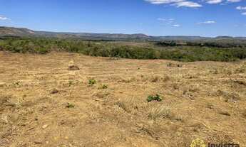 Imagem 4: Fazenda à venda, 140 Hectares em Porto Nacional/TO