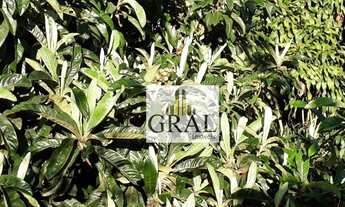 Imagem 5: Chácara com 3 dormitórios à venda, 828 m² por R$ 650.000,00 - Eldorado - São Paulo/SP