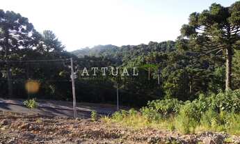 Imagem 2: GRAMADO - Terreno Padrão - Loteamento Marsal