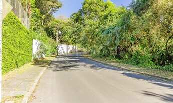 Imagem 5: PORTO ALEGRE - Terreno Padrão - Teresópolis