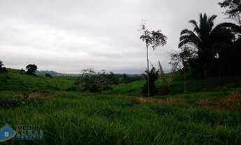 Imagem 6: Sítio 42 alqueires Jaru