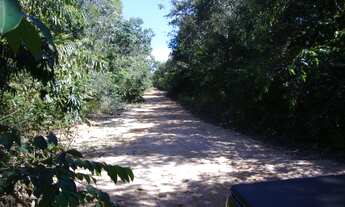Imagem 3: 475,00 Hectares, Terra para Lavoura e Pecuária, sem abertura, Nova Maringá-MT